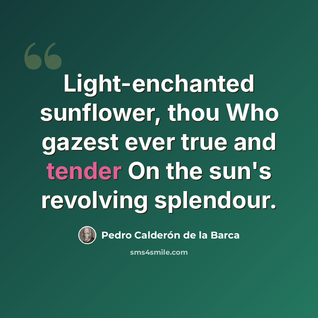 “Light-enchanted sunflower, thou Who gazest ever true and tender On the sun's revolving splendour.” quote by Pedro Calderon de la Barca