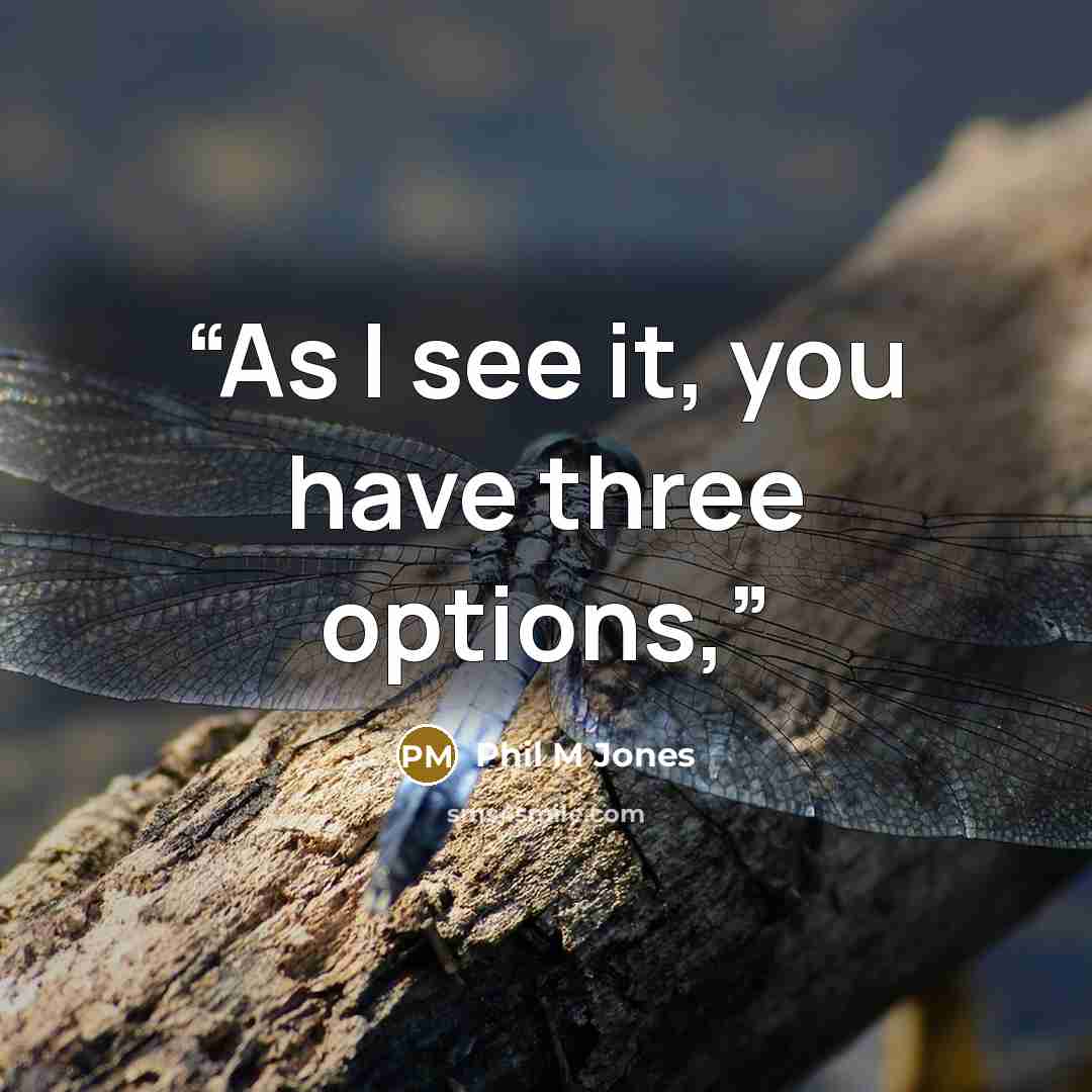 “As I see it, you have three options,” quote by Phil M Jones