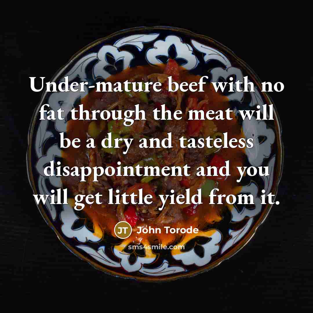 “Under-mature beef with no fat through the meat will be a dry and tasteless disappointment and you will get little yield from it.” quote by John Torode