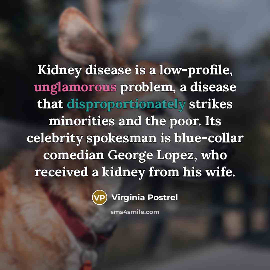 “Kidney disease is a low-profile, unglamorous problem, a disease that disproportionately strikes minorities and the poor. Its celebrity spokesman is blue-collar comedian George Lopez, who received a kidney from his wife.” quote by Virginia Postrel