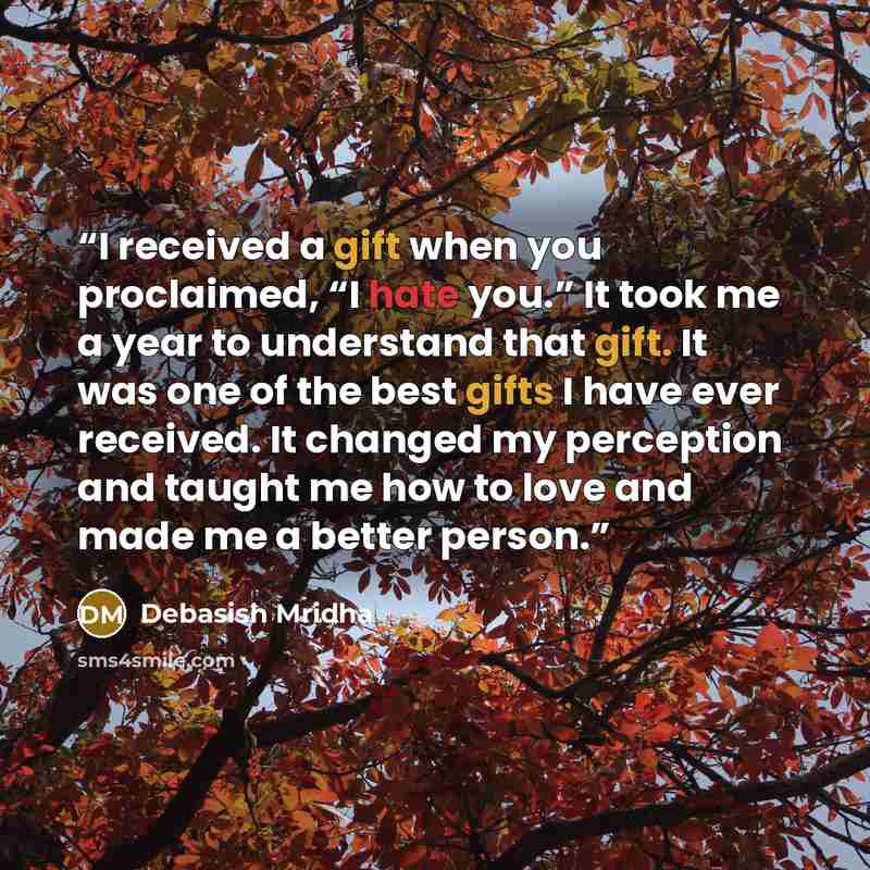 “I received a gift when you proclaimed, “I hate you.” It took me a year to understand that gift. It was one of the best gifts I have ever received. It changed my perception and taught me how to love and made me a better person.” quote by Debasish Mridha