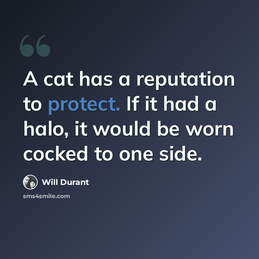 “A cat has a reputation to protect. If it had a halo, it would be worn cocked to one side.” quote by Will Durant