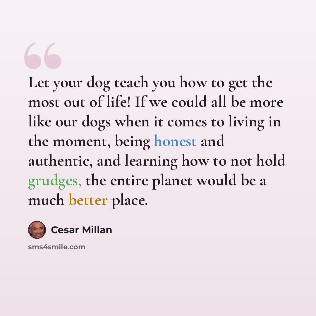 “Let your dog teach you how to get the most out of life! If we could all be more like our dogs when it comes to living in the moment, being honest and authentic, and learning how to not hold grudges, the entire planet would be a much better place.” quote by Cesar Millan