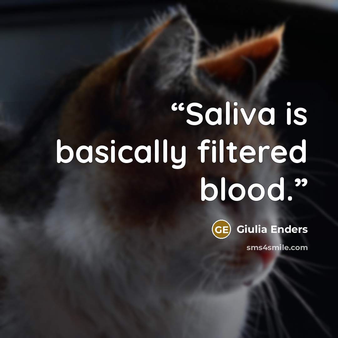 “Saliva is basically filtered blood.” quote by Giulia Enders