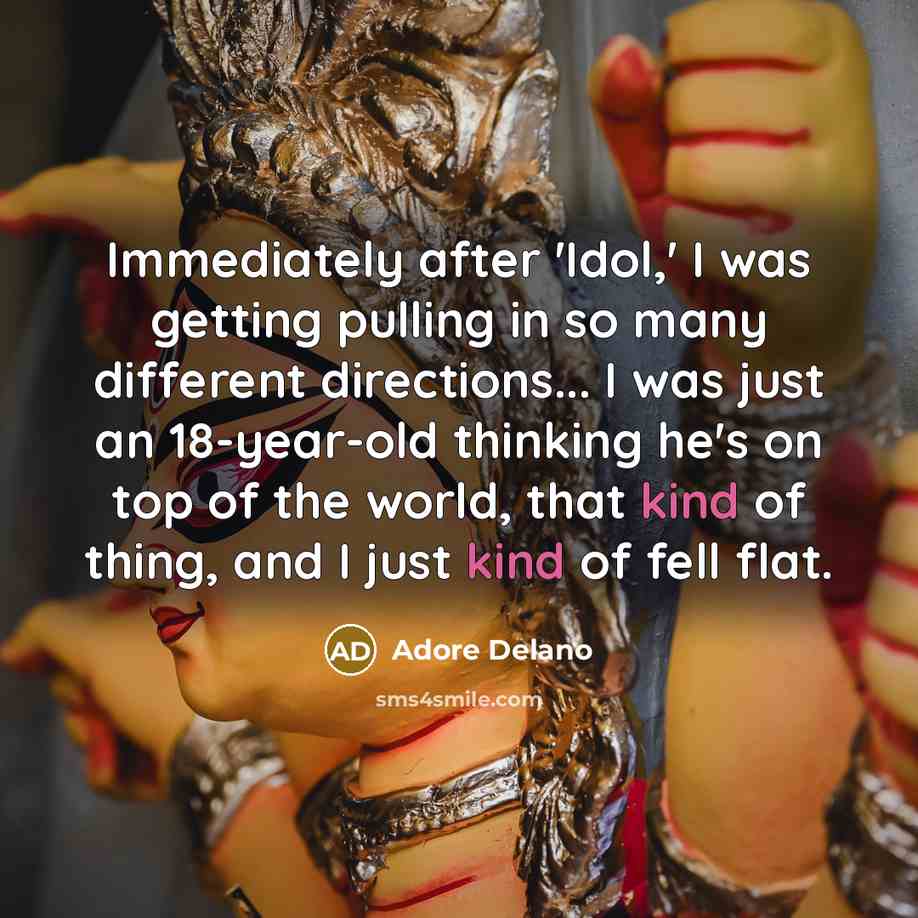 “Immediately after 'Idol,' I was getting pulling in so many different directions... I was just an 18-year-old thinking he's on top of the world, that kind of thing, and I just kind of fell flat.” quote by Adore Delano