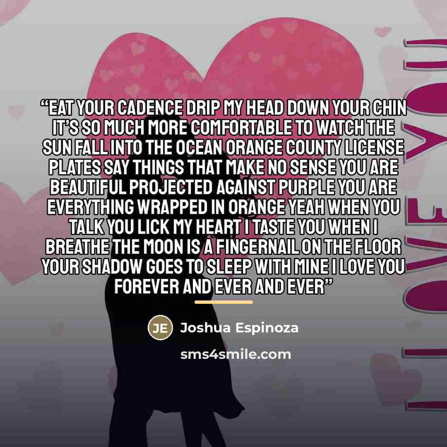 “Eat your cadence Drip my head down your chin It’s so much more comfortable To watch the sun fall into the ocean Orange County license plates Say things that make no sense You are beautiful projected against purple You are everything wrapped in orange Yeah when you talk you lick my heart I taste…” quote by Joshua Espinoza