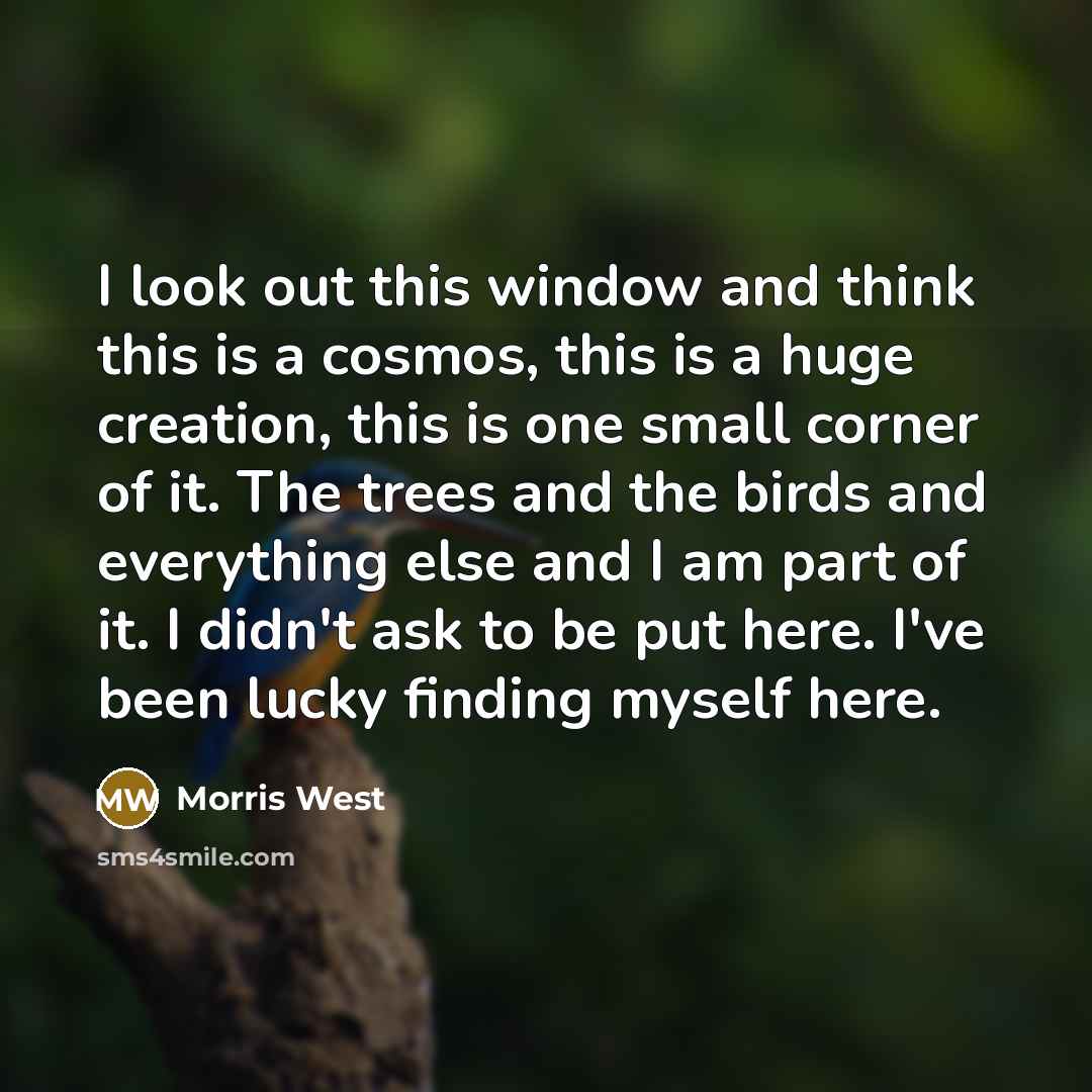 “I look out this window and think this is a cosmos, this is a huge creation, this is one small corner of it. The trees and the birds and everything else and I am part of it. I didn't ask to be put here. I've been lucky finding myself here.” quote by Morris West