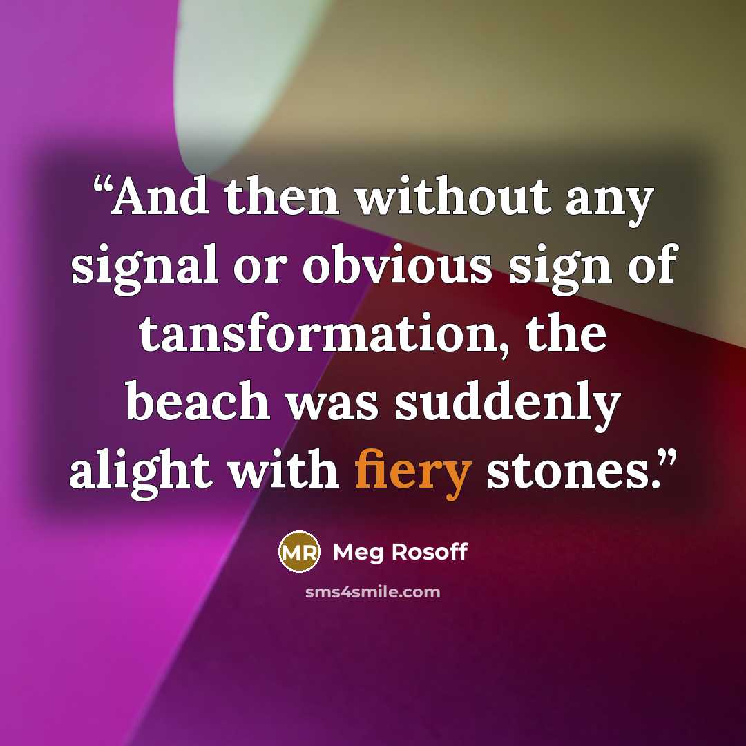 “And then without any signal or obvious sign of tansformation, the beach was suddenly alight with fiery stones.” quote by Meg Rosoff