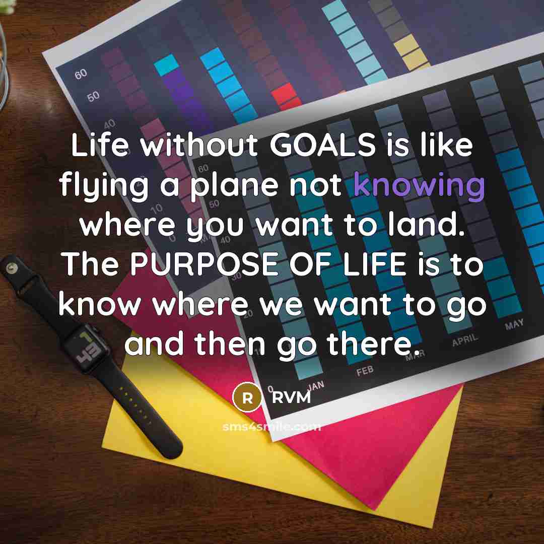 “Life without GOALS is like flying a plane not knowing where you want to land. The PURPOSE OF LIFE is to know where we want to go and then go there.” quote by RVM