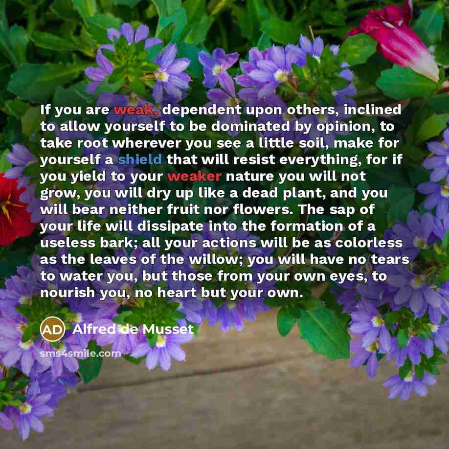 “If you are weak, dependent upon others, inclined to allow yourself to be dominated by opinion, to take root wherever you see a little soil, make for yourself a shield that will resist everything, for if you yield to your weaker nature you will not grow, you will dry up like a dead plant, and you…” quote by Alfred de Musset