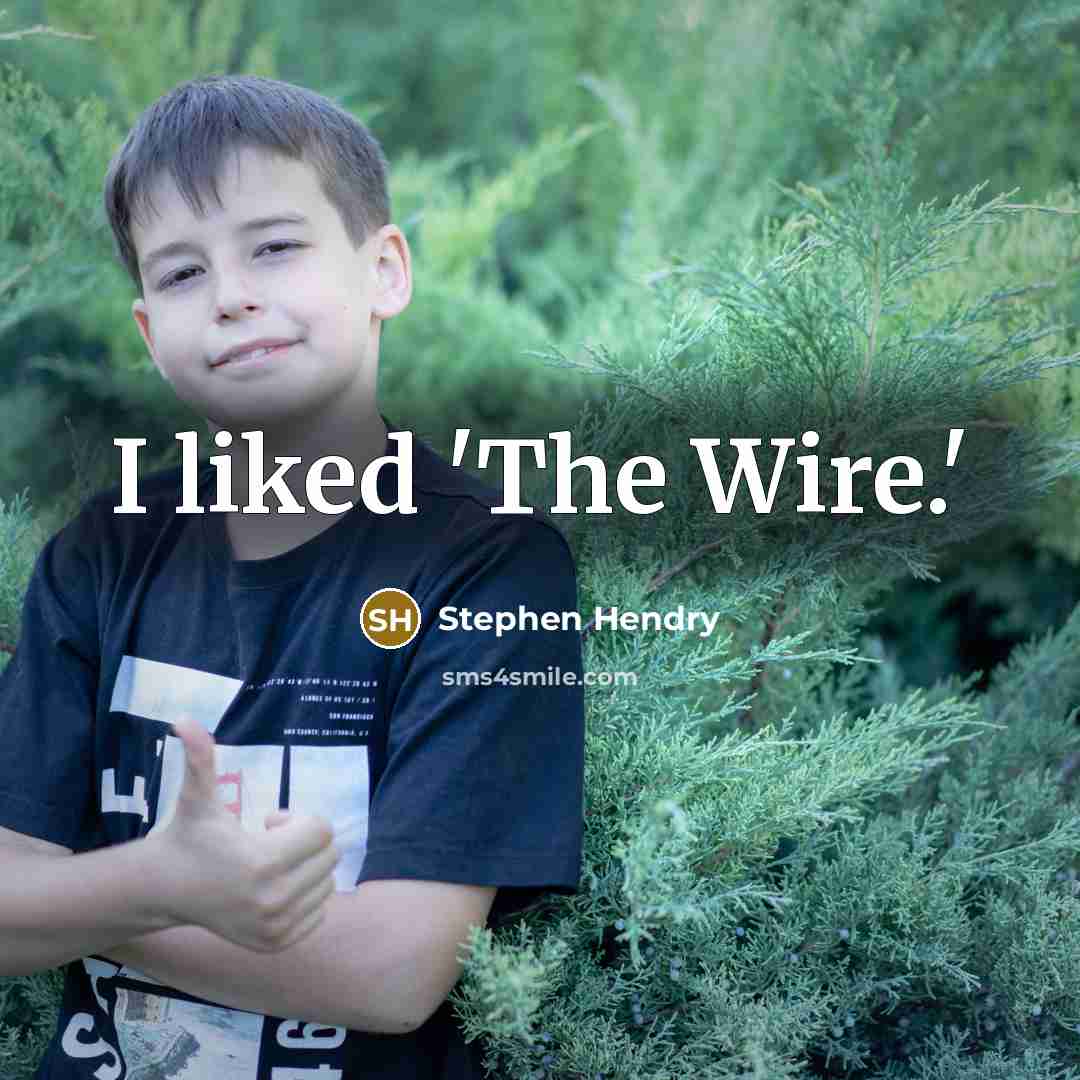 “I liked 'The Wire.'” quote by Stephen Hendry
