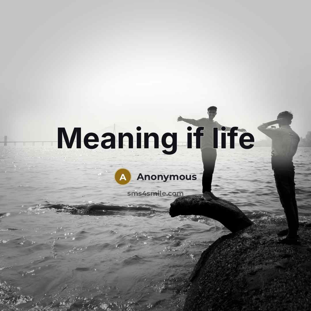 “Meaning if life” quote by Anonymous
