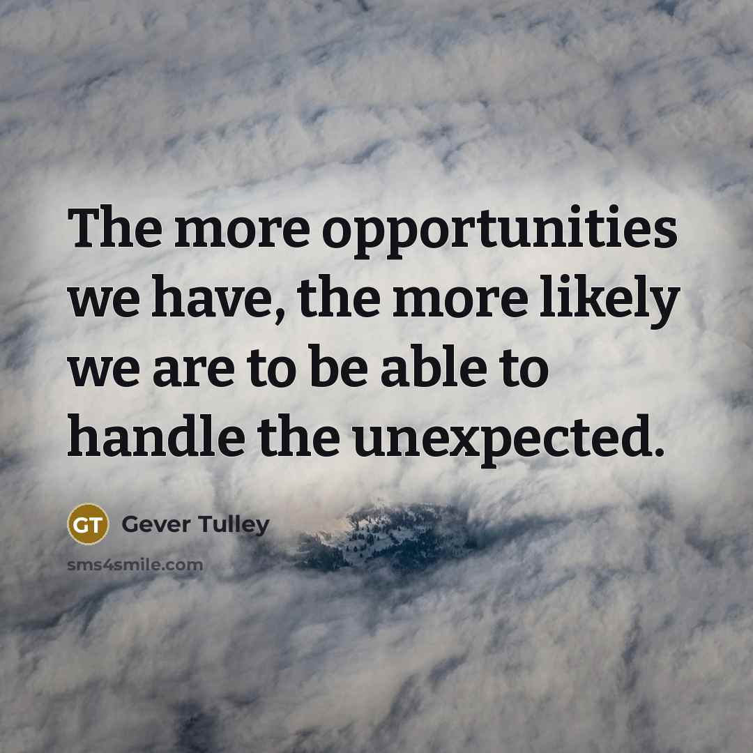 “The more opportunities we have, the more likely we are to be able to handle the unexpected.” quote by Gever Tulley