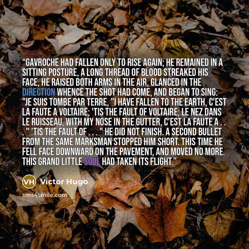 “Gavroche had fallen only to rise again; he remained in a sitting posture, a long thread of blood streaked his face, he raised both arms in the air, glanced in the direction whence the shot had come, and began to sing: "Je suis tombe par terre, "I have fallen to the earth, C'est la faute a…” quote by Victor Hugo