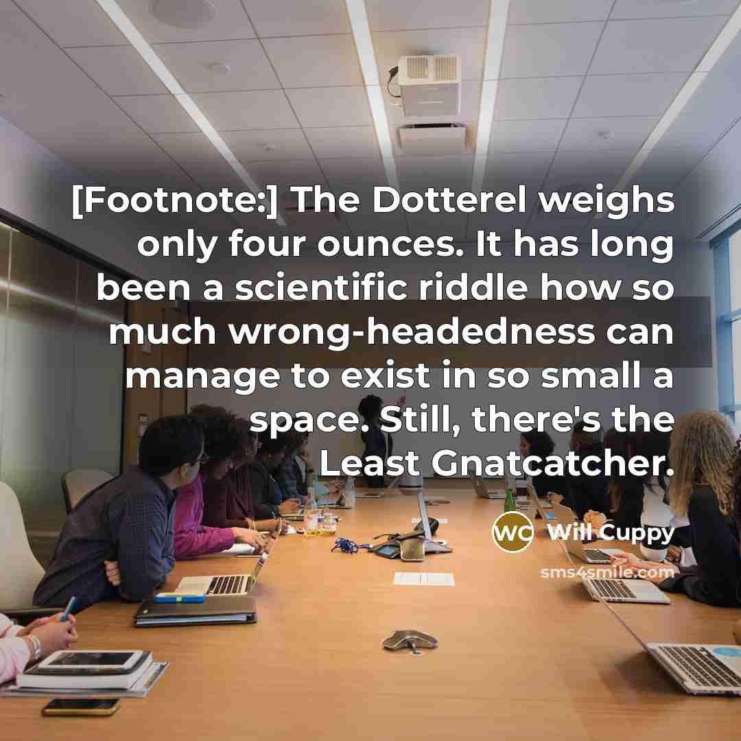 “[Footnote:] The Dotterel weighs only four ounces. It has long been a scientific riddle how so much wrong-headedness can manage to exist in so small a space. Still, there's the Least Gnatcatcher.” quote by Will Cuppy