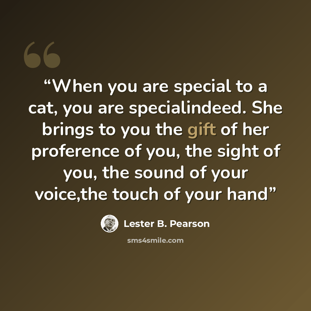 “When you are special to a cat, you are specialindeed. She brings to you the gift of her proference of you, the sight of you, the sound of your voice,the touch of your hand” quote by Lester B. Pearson