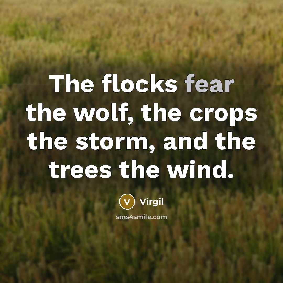 “The flocks fear the wolf, the crops the storm, and the trees the wind.” quote by Virgil