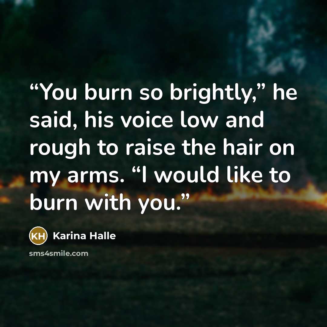 “You burn so brightly,” he said, his voice low and rough to raise the hair on my arms. “I would like to burn with you.” quote by Karina Halle