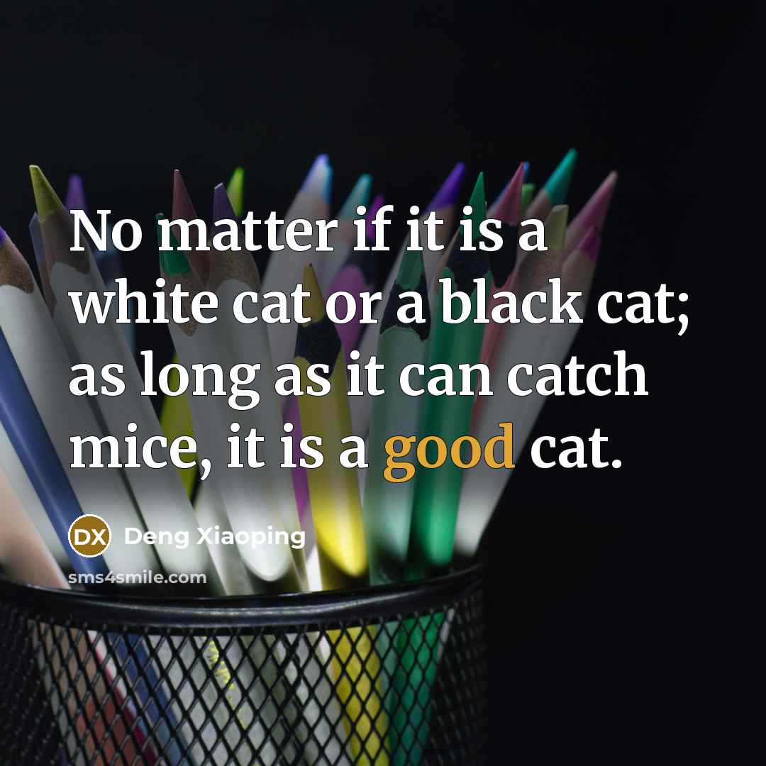 “No matter if it is a white cat or a black cat; as long as it can catch mice, it is a good cat.” quote by Deng Xiaoping