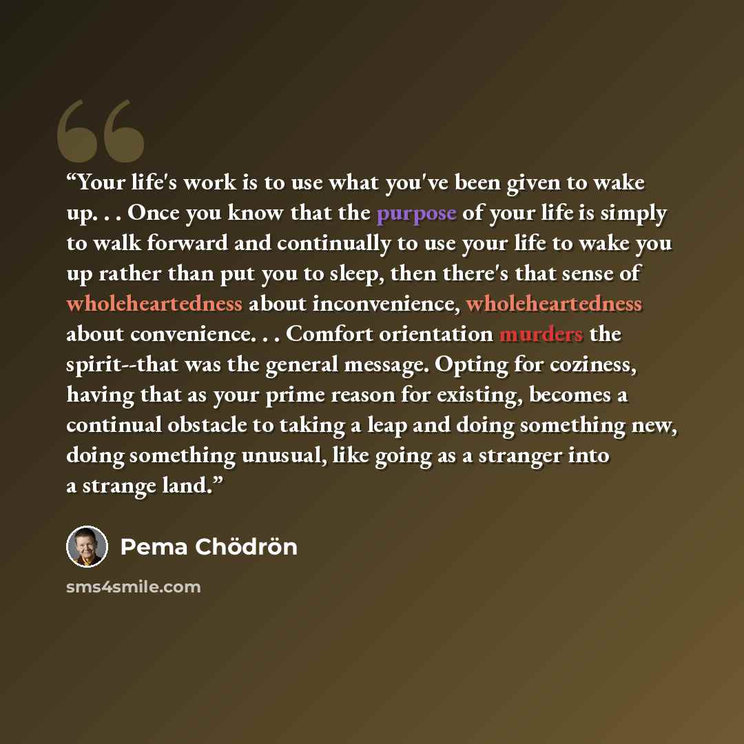 “Your life's work is to use what you've been given to wake up. . . Once you know that the purpose of your life is simply to walk forward and continually to use your life to wake you up rather than put you to sleep, then there's that sense of wholeheartedness about inconvenience, wholeheartedness…” quote by Pema Chödrön