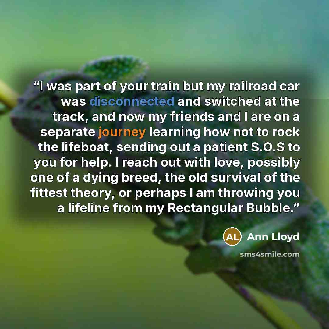 “I was part of your train but my railroad car was disconnected and switched at the track, and now my friends and I are on a separate journey learning how not to rock the lifeboat, sending out a patient S.O.S to you for help. I reach out with love, possibly one of a dying breed, the old survival of…” quote by Ann Lloyd