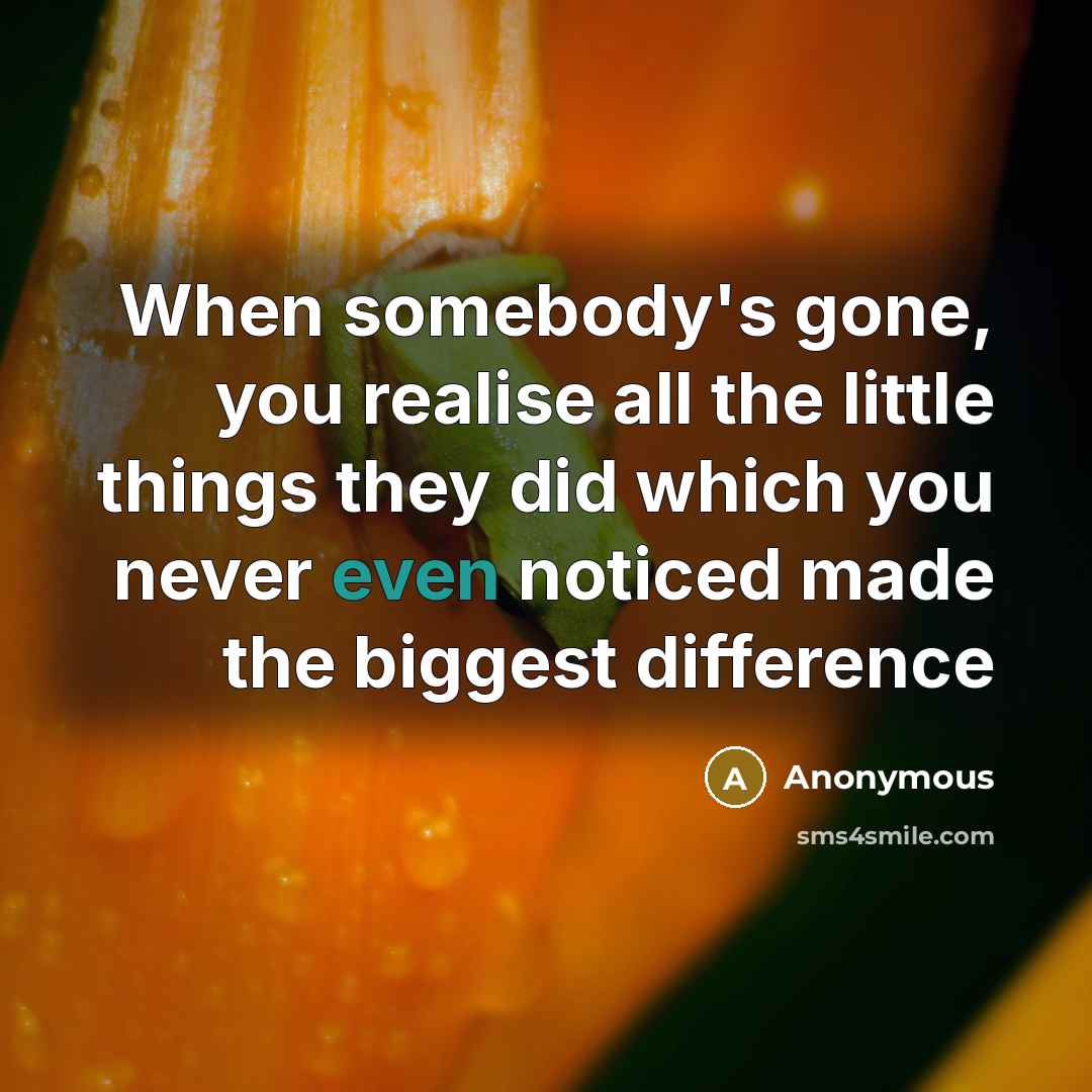 “When somebody's gone, you realise all the little things they did which you never even noticed made the biggest difference” quote by Anonymous