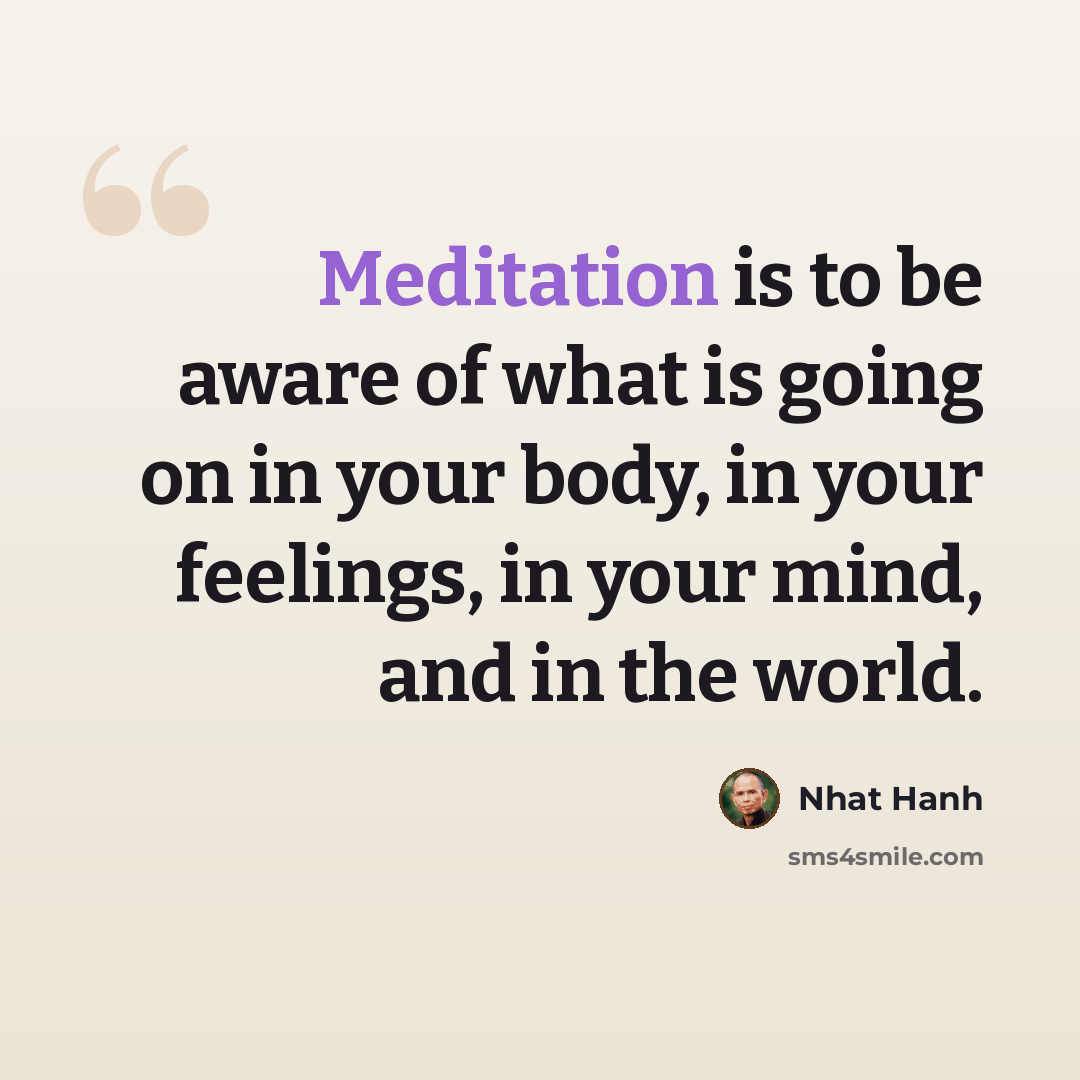 “Meditation is to be aware of what is going on in your body, in your feelings, in your mind, and in the world.” quote by Nhat Hanh