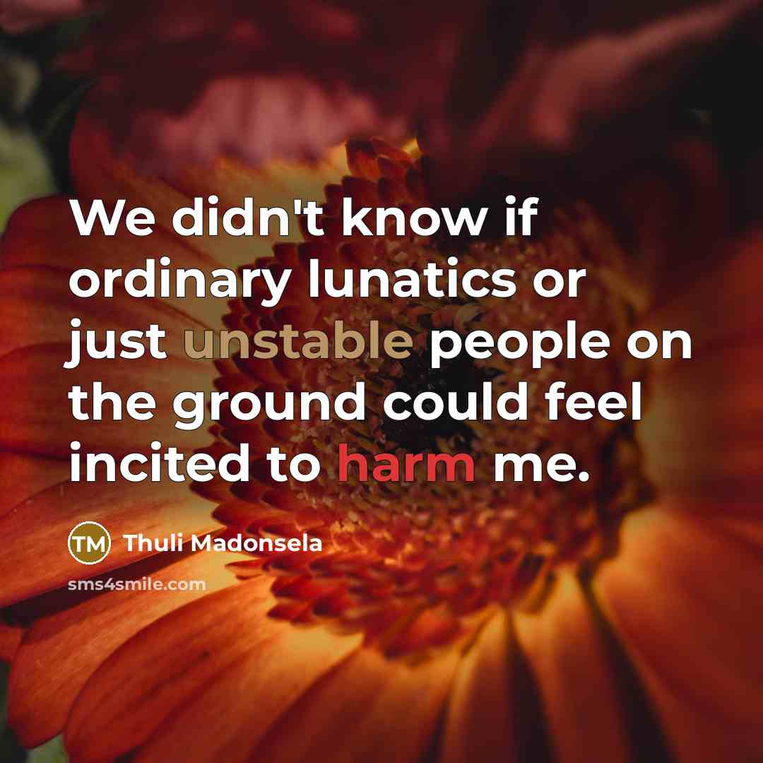 “We didn't know if ordinary lunatics or just unstable people on the ground could feel incited to harm me.” quote by Thuli Madonsela