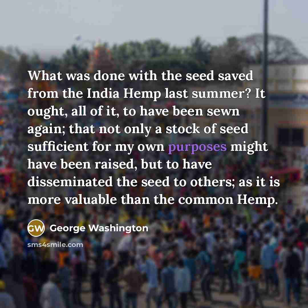“What was done with the seed saved from the India Hemp last summer? It ought, all of it, to have been sewn again; that not only a stock of seed sufficient for my own purposes might have been raised, but to have disseminated the seed to others; as it is more valuable than the common Hemp.” quote by George Washington