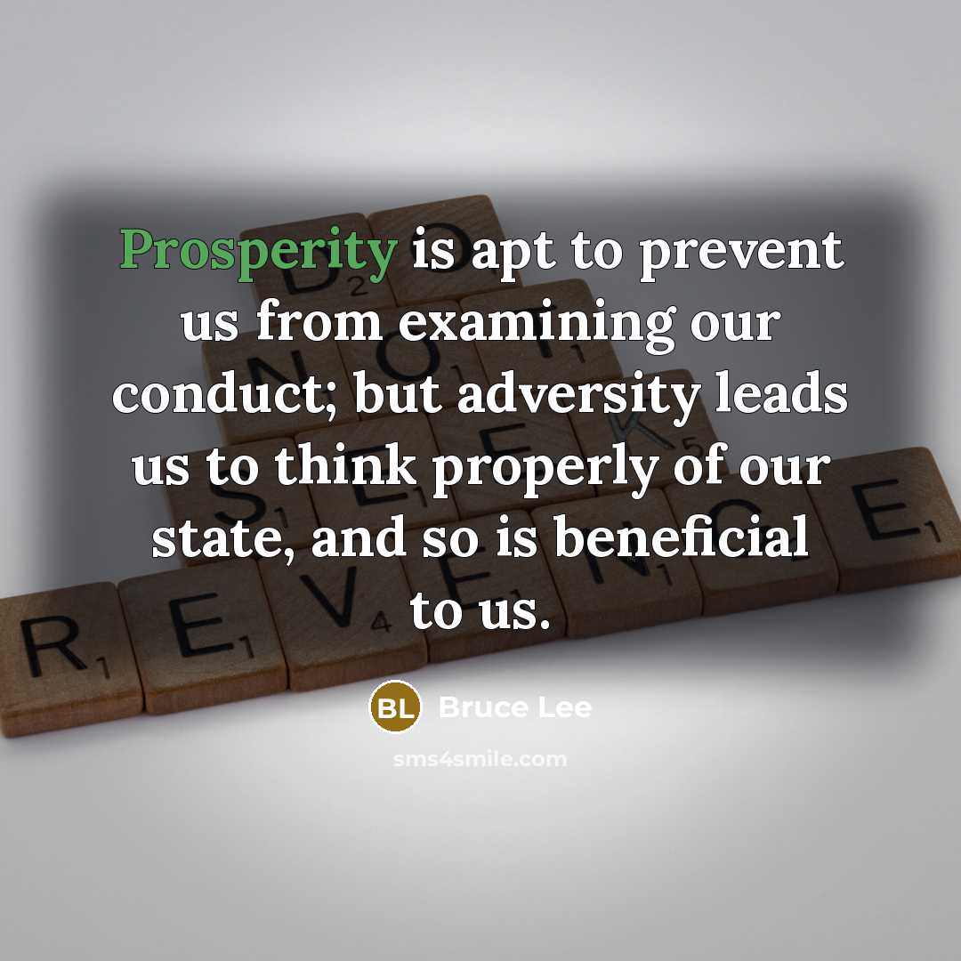 “Prosperity is apt to prevent us from examining our conduct; but adversity leads us to think properly of our state, and so is beneficial to us.” quote by Bruce Lee