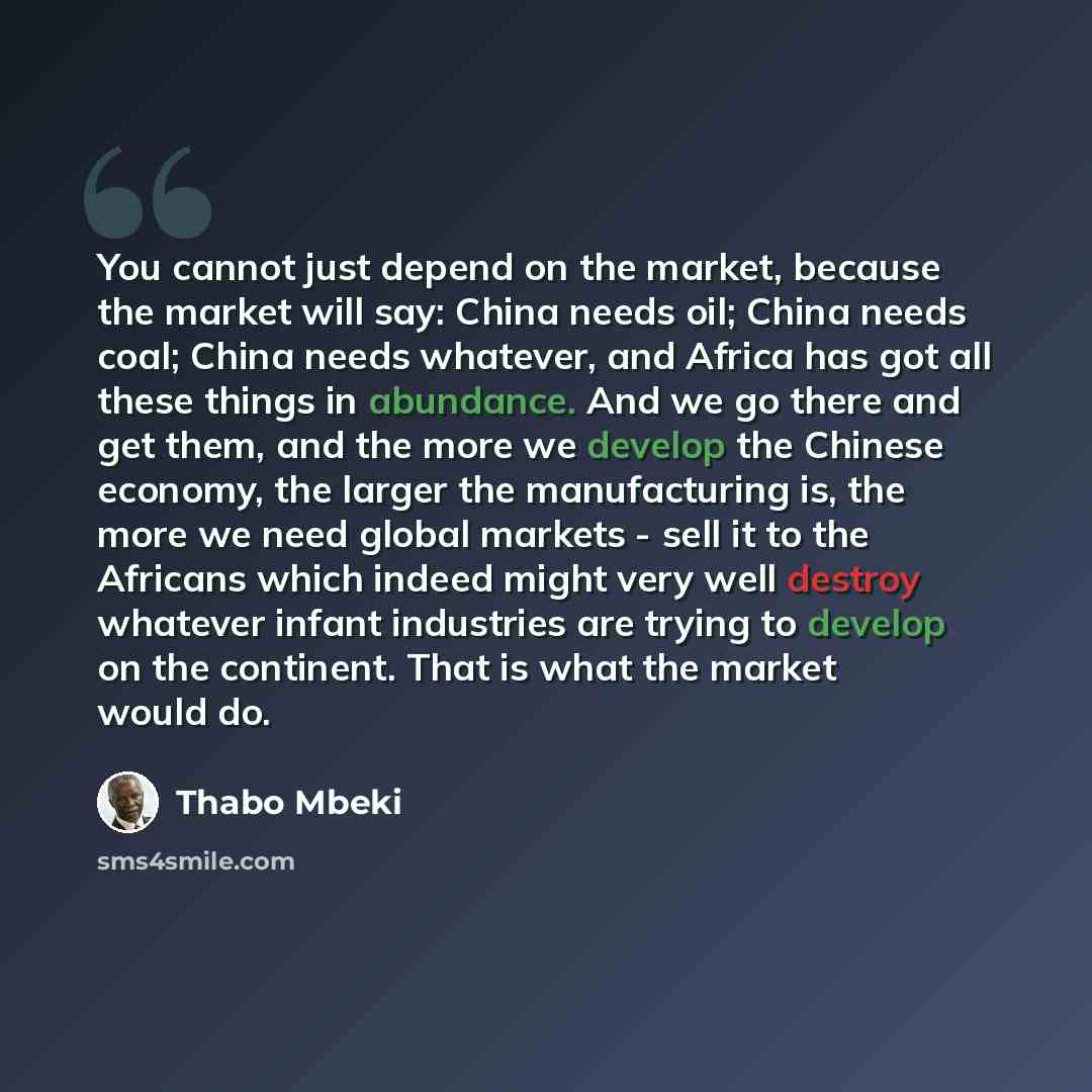 “You cannot just depend on the market, because the market will say: China needs oil; China needs coal; China needs whatever, and Africa has got all these things in abundance. And we go there and get them, and the more we develop the Chinese economy, the larger the manufacturing is, the more we need…” quote by Thabo Mbeki