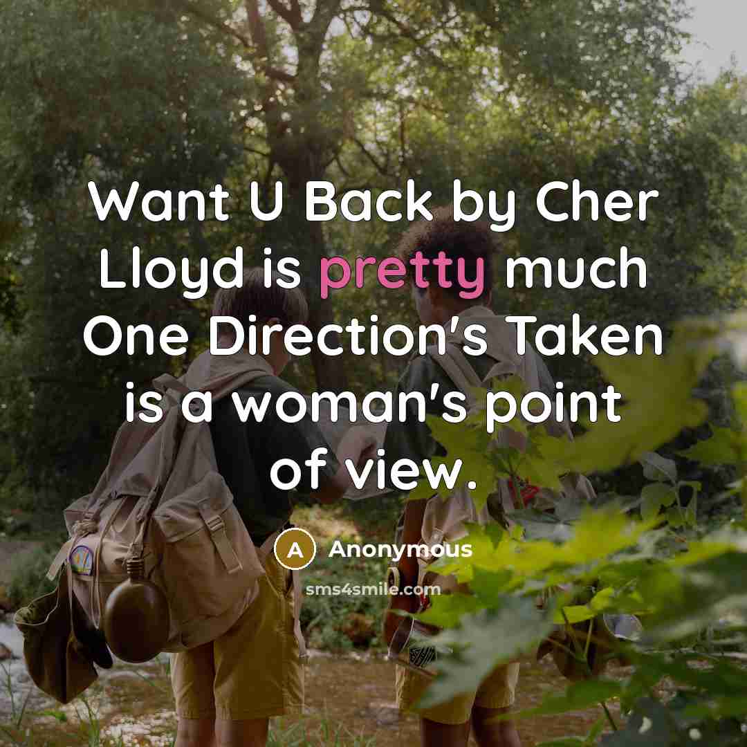 “Want U Back by Cher Lloyd is pretty much One Direction's Taken is a woman's point of view.” quote by Anonymous