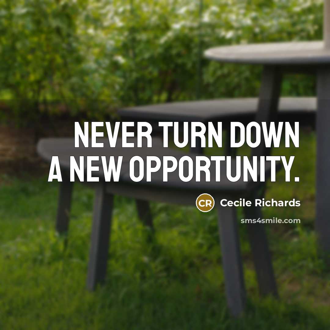 “Never turn down a new opportunity.” quote by Cecile Richards
