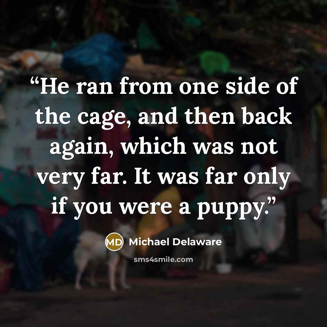 “He ran from one side of the cage, and then back again, which was not very far. It was far only if you were a puppy.” quote by Michael Delaware