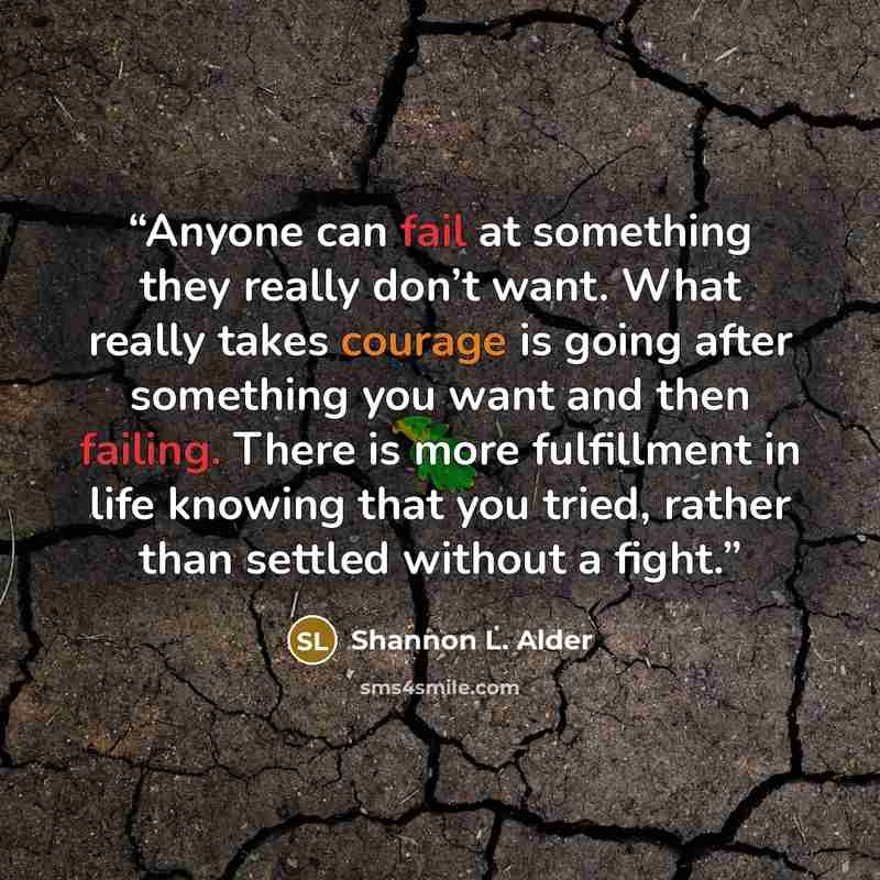 “Anyone can fail at something they really don’t want. What really takes courage is going after something you want and then failing. There is more fulfillment in life knowing that you tried, rather than settled without a fight.” quote by Shannon L. Alder