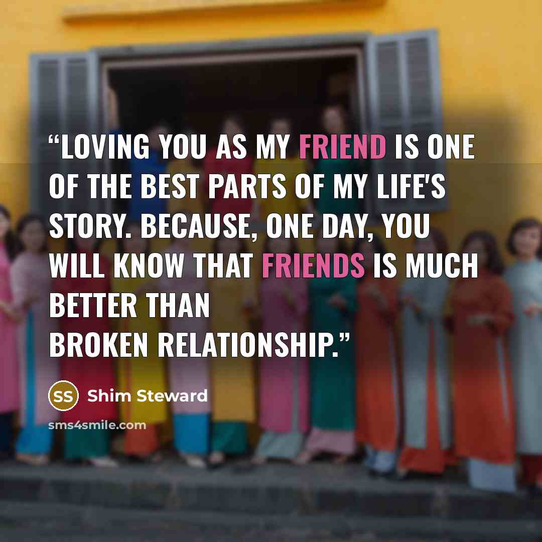“Loving you as my friend is one of the best parts of my life's story. Because, one day, you will know that friends is much better than broken relationship.” quote by Shim Steward