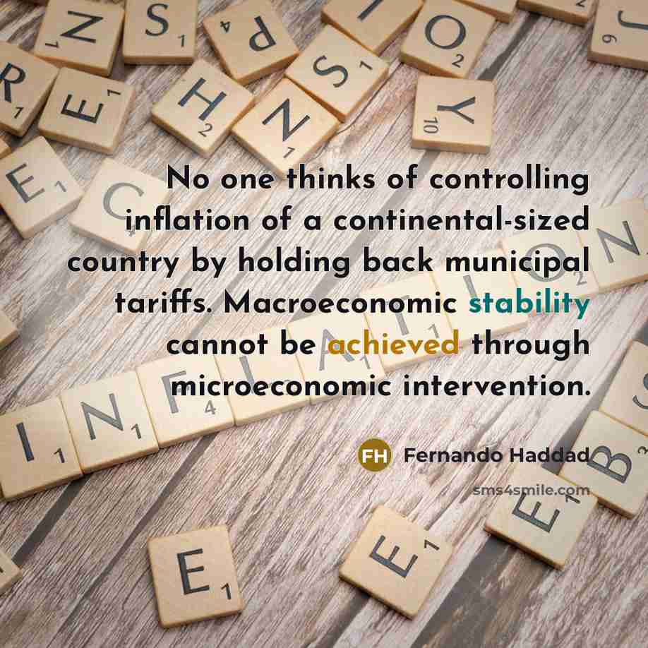 “No one thinks of controlling inflation of a continental-sized country by holding back municipal tariffs. Macroeconomic stability cannot be achieved through microeconomic intervention.” quote by Fernando Haddad