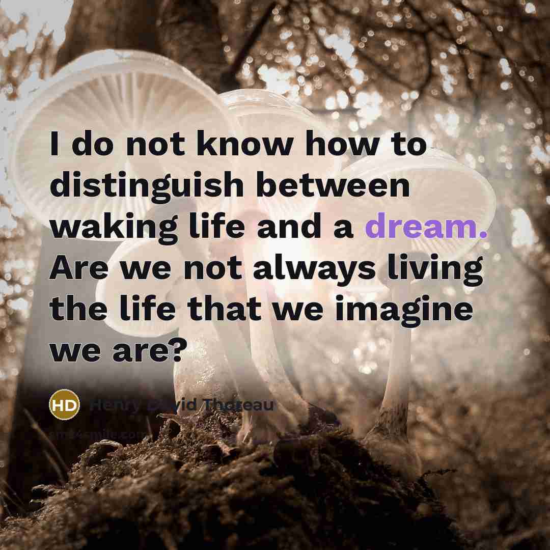 “I do not know how to distinguish between waking life and a dream. Are we not always living the life that we imagine we are?” quote by Henry David Thoreau