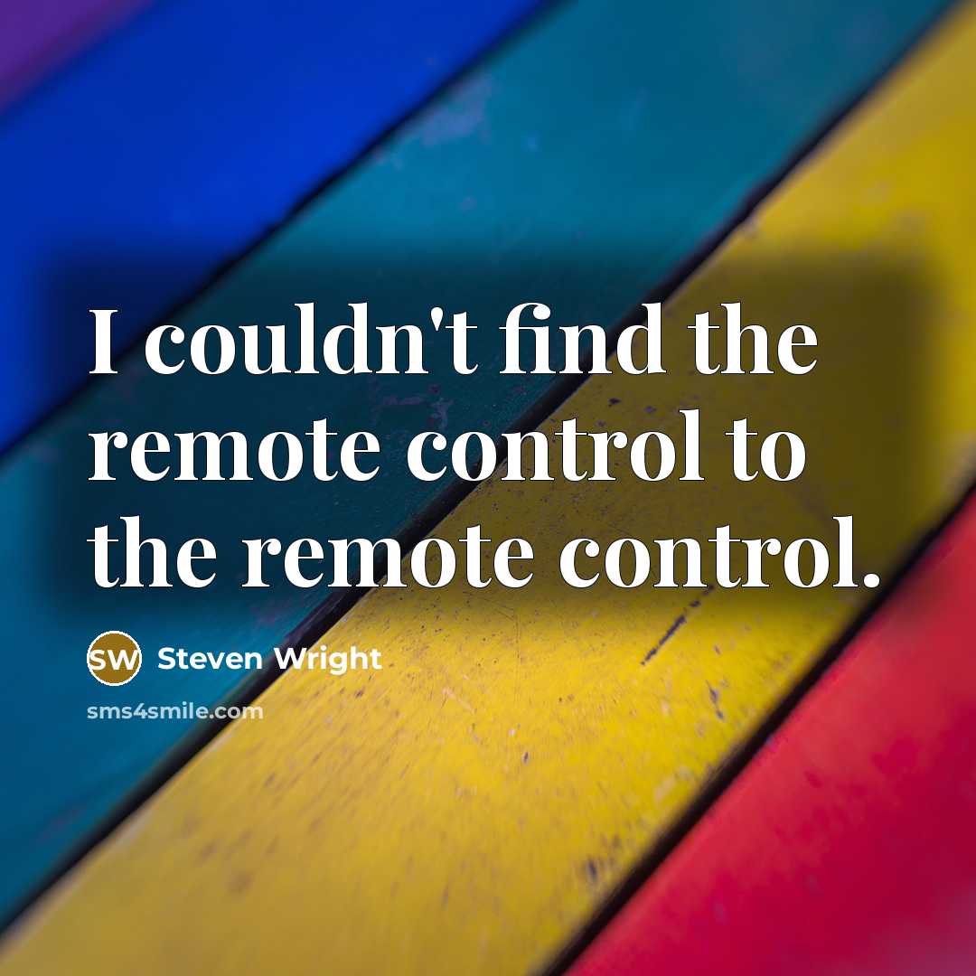 “I couldn't find the remote control to the remote control.” quote by Steven Wright