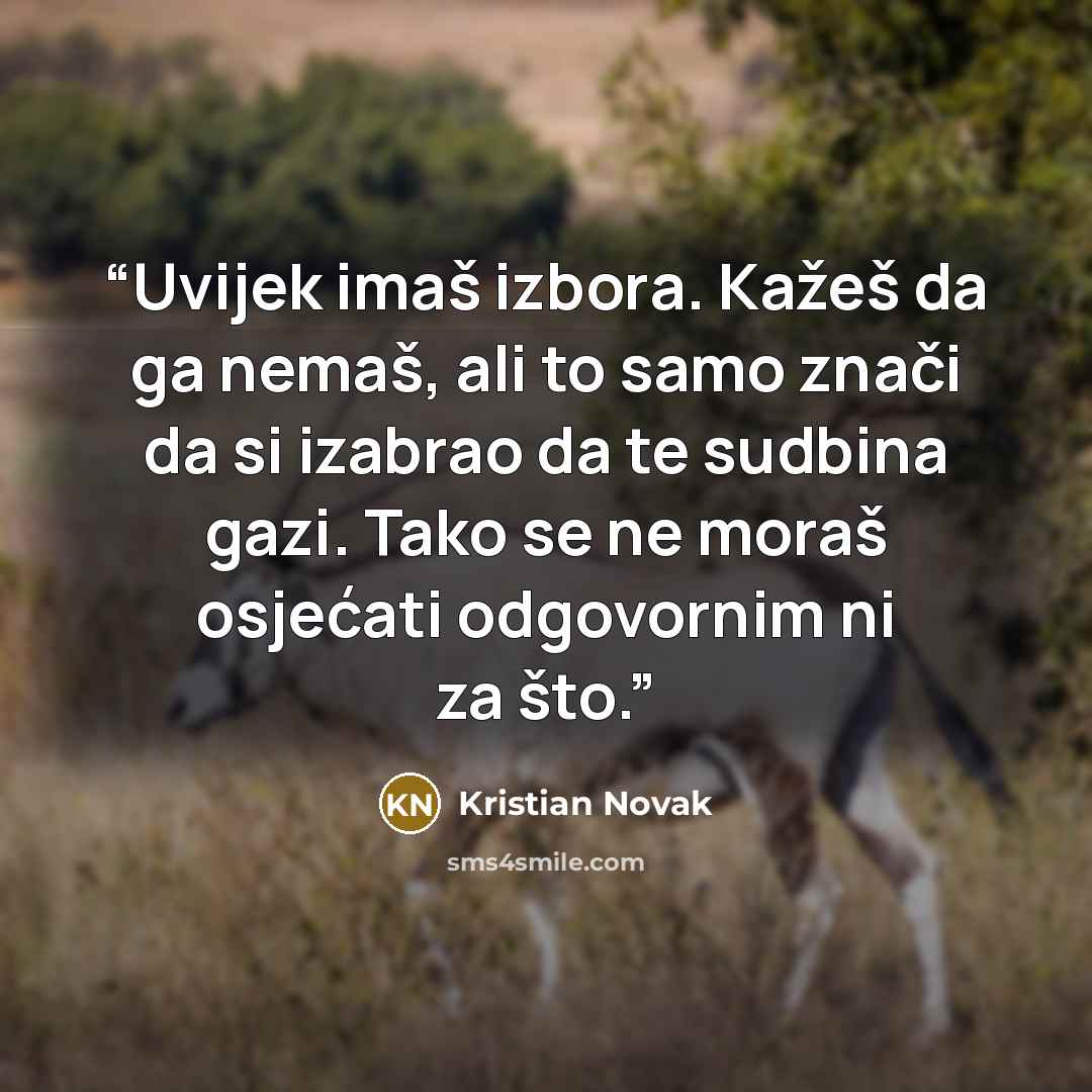 “Uvijek imaš izbora. Kažeš da ga nemaš, ali to samo znači da si izabrao da te sudbina gazi. Tako se ne moraš osjećati odgovornim ni za što.” quote by Kristian Novak