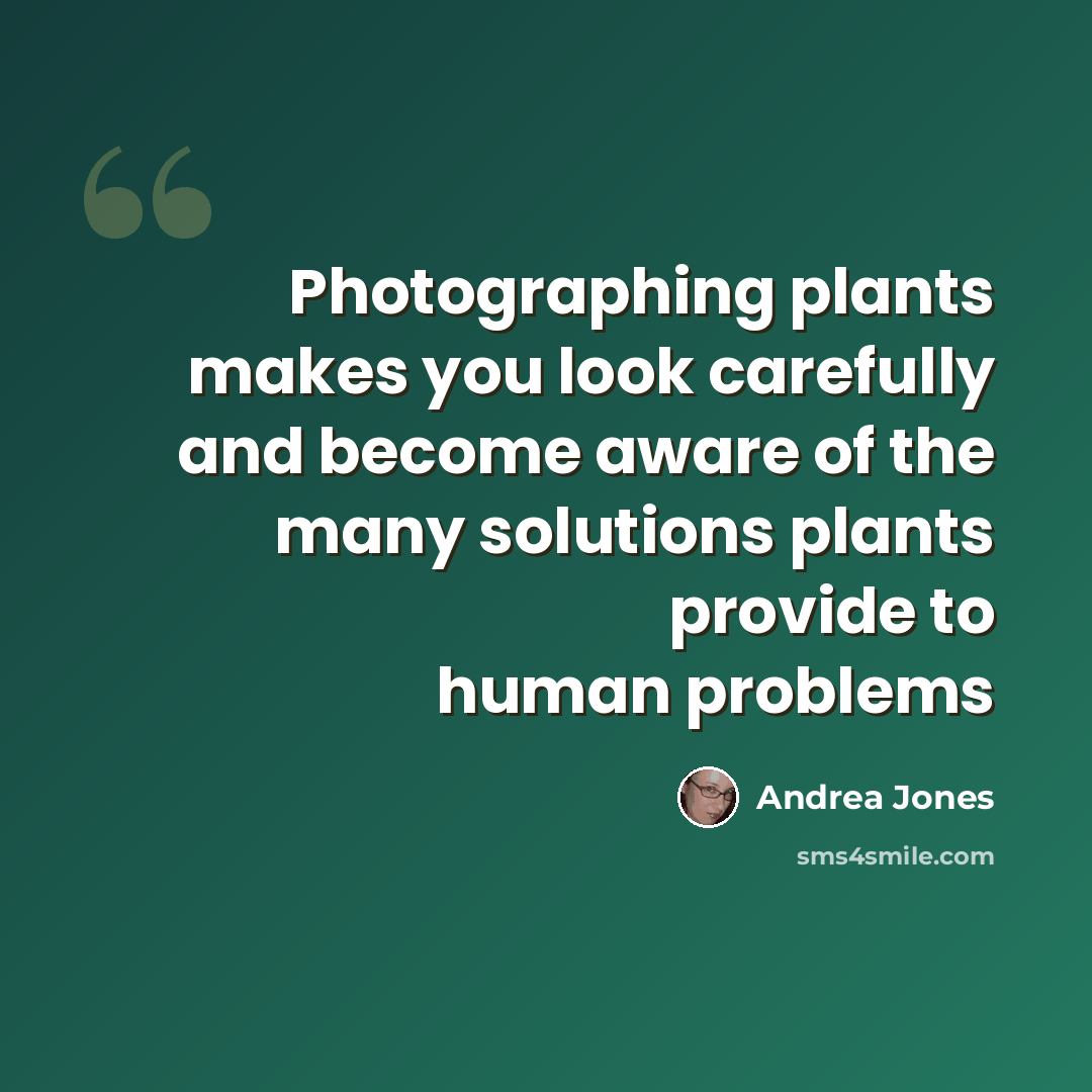 “Photographing plants makes you look carefully and become aware of the many solutions plants provide to human problems” quote by Andrea Jones