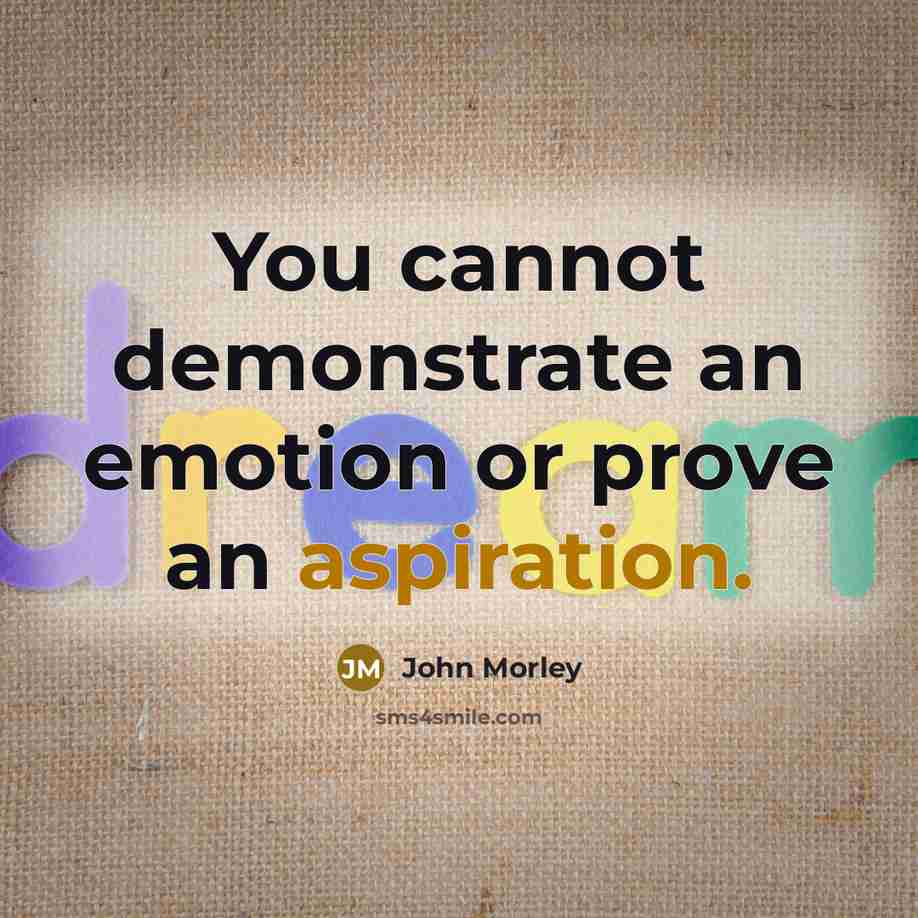 “You cannot demonstrate an emotion or prove an aspiration.” quote by John Morley