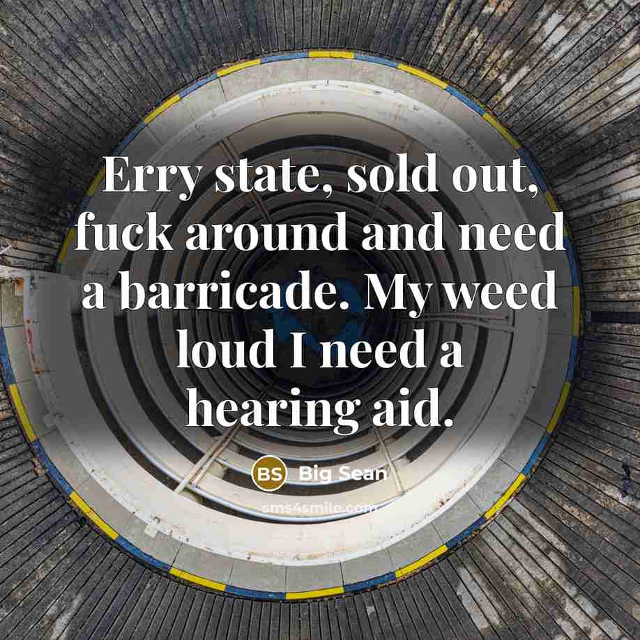 “Erry state, sold out, fuck around and need a barricade. My weed loud I need a hearing aid.” quote by Big Sean