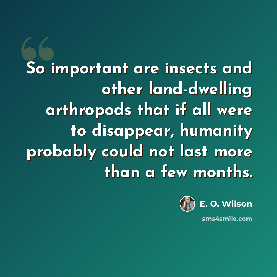 “So important are insects and other land-dwelling arthropods that if all were to disappear, humanity probably could not last more than a few months.” quote by E. O. Wilson