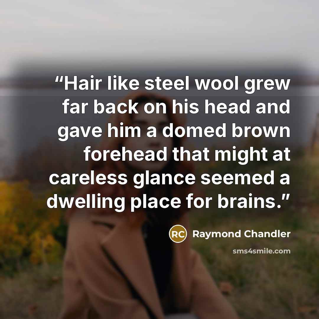 “Hair like steel wool grew far back on his head and gave him a domed brown forehead that might at careless glance seemed a dwelling place for brains.” quote by Raymond Chandler