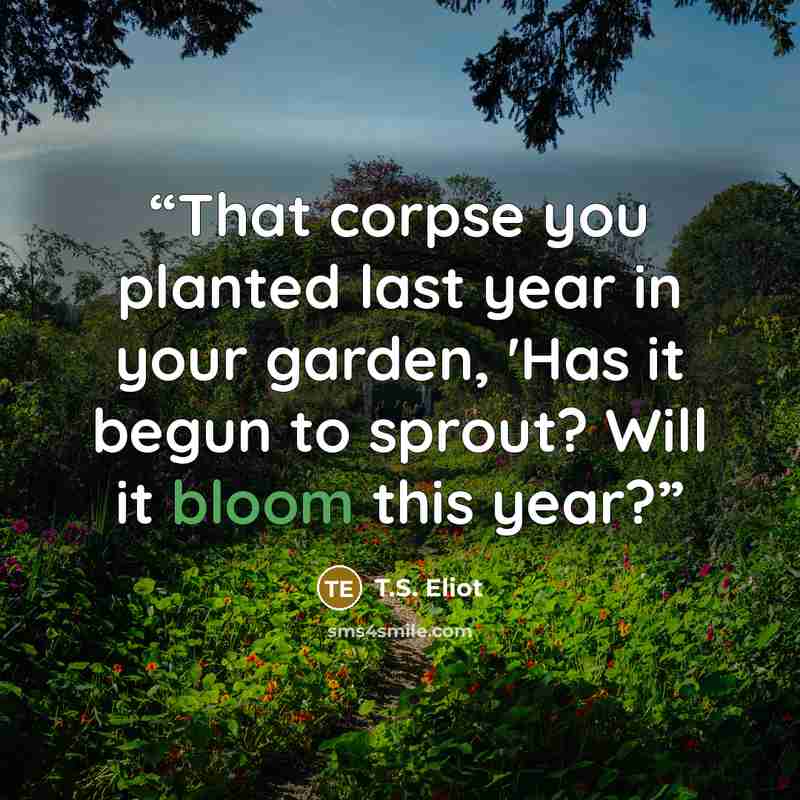 “That corpse you planted last year in your garden, 'Has it begun to sprout? Will it bloom this year?” quote by T.S. Eliot