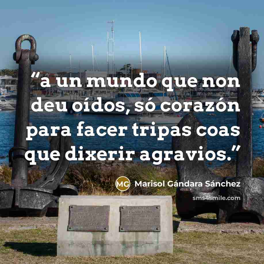 “a un mundo que non deu oídos, só corazón para facer tripas coas que dixerir agravios.” quote by Marisol Gándara Sánchez