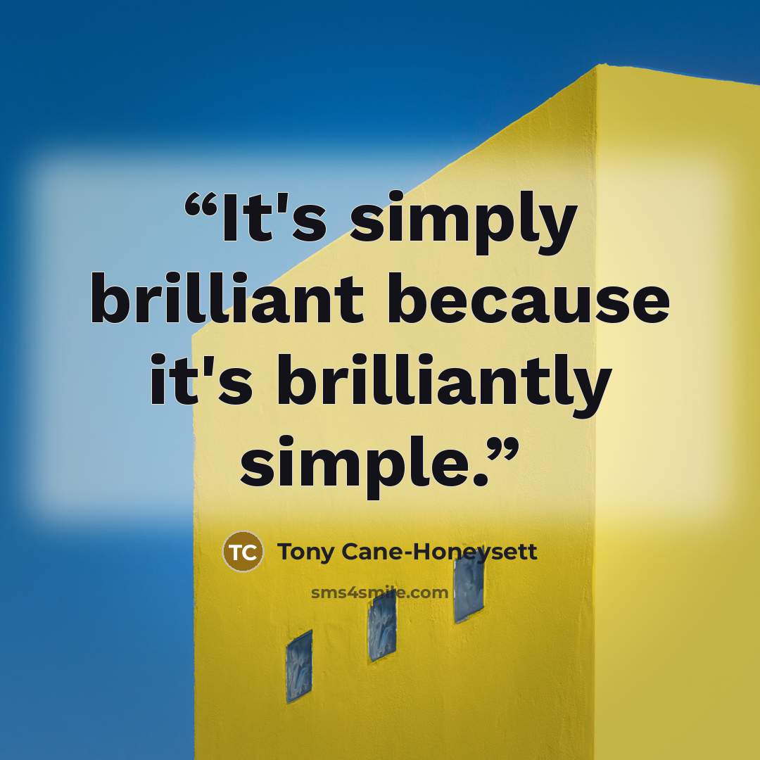 “It's simply brilliant because it's brilliantly simple.” quote by Tony Cane-Honeysett