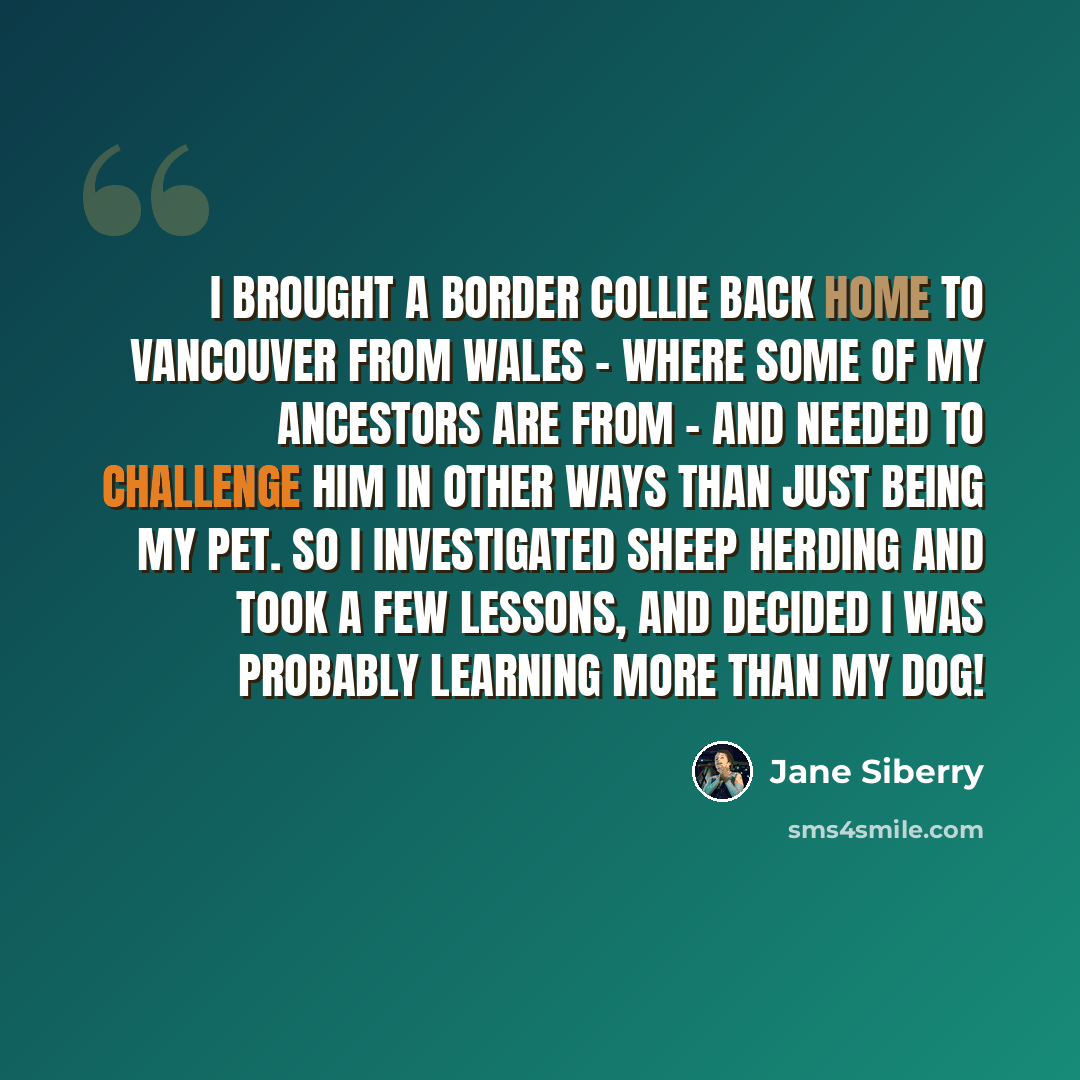 “I brought a Border Collie back home to Vancouver from Wales - where some of my ancestors are from - and needed to challenge him in other ways than just being my pet. So I investigated sheep herding and took a few lessons, and decided I was probably learning more than my dog!” quote by Jane Siberry