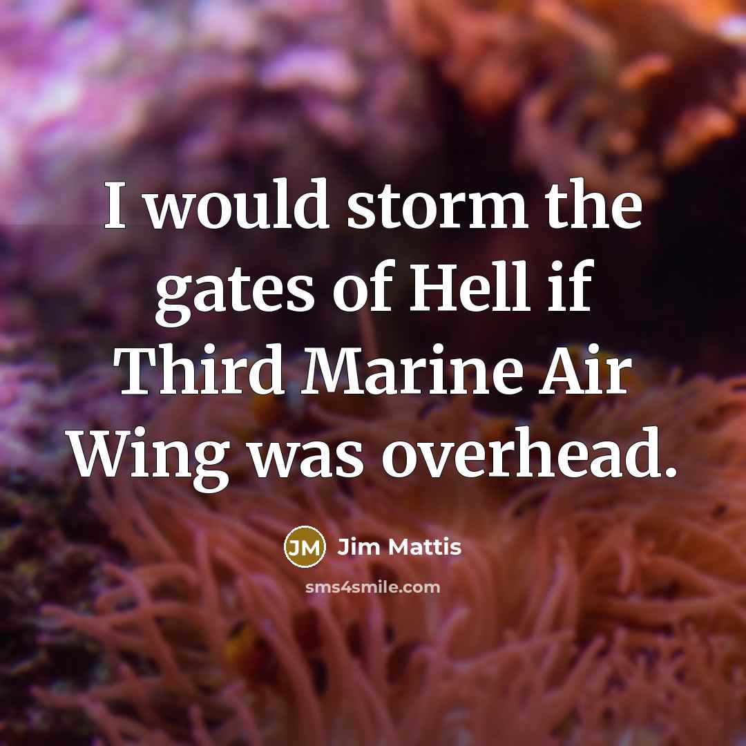 “I would storm the gates of Hell if Third Marine Air Wing was overhead.” quote by Jim Mattis